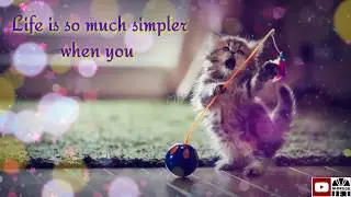 Stop explaining yourself | Morning motivational quotes | whatsapp status | Motivation Drugs | MD