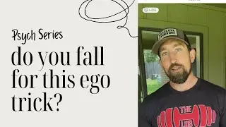 How to have better relationship: awareness of egos fear based systems (watch for real wasp attack!)