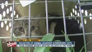 Daughter of deceased animal hoarder inherits 100 cats