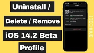 How To Remove iOS 14.2 Beta - Uninstall/Delete iOS 14.2 Profile