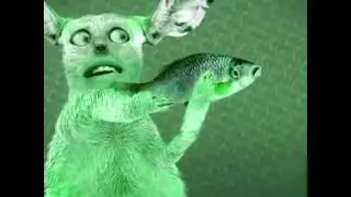 ANIMATED SPOOF MUSIC VIDEO NUMA CAT MARI GROUP 2