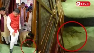 UP LIVE | Uproar Over Spitting Paan Masala Inside Vidhan Sabha | Yogi | UP Assembly | BJP