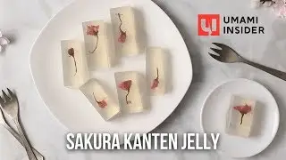 Sakura Kanten Jelly