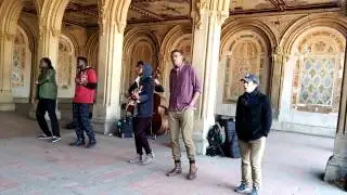 Peace Industry Music Group at NY Bethesda Terrace