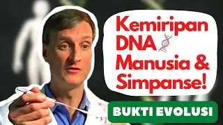 Evolusi: Kemiripan DNA Manusia dan Simpanse
