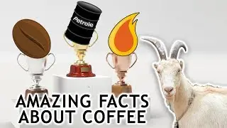 Top 10 Facts You Didn't Know About Coffee