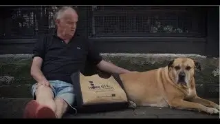 Animal Welfare Outreach Program