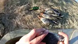 awesome duck hunting, grasslands refuge, small spread, refuge solo