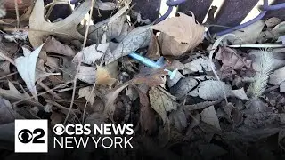 How an NYC councilman wants to prevent used needle litter