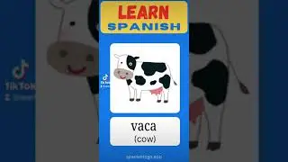 Subscribe for more Spanish quizzes  