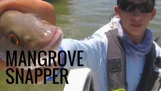 Snapper Fishing in Biscayne National Park