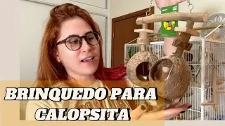 Brinquedos Novos das Calopsitas! - CALOPSITA NEWS