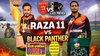 Black Panther vs Raza Eleven live cricket match | Shri Ramleela Maidan Cricket Tournament Season 4