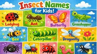 Insect Names#kidsfantasty #kidsvideo#kidssong #kidslearning#english#poetry#poem#story#stories#fyp