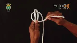 03 Escota singela
