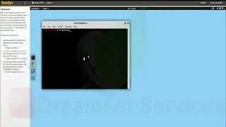 Linux Pro 12.8.5 Find Path Information TestOut