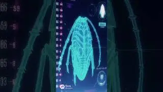 Kukaventuras - Opening temporada 1