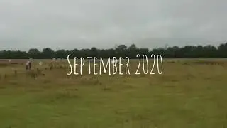 September 2020 || Pony Park Padenstedt 🍂