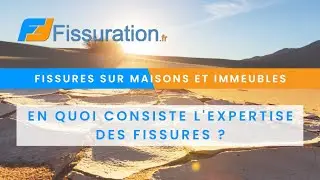 En quoi consiste l'expertise des fissures ?