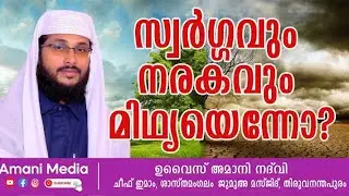 സ്വർഗ്ഗവും നരകവും മിഥ്യയെന്നോ..? |ഉവൈസ് അമാനി |ചീഫ് ഇമാം ശാസ്ത മംഗലം ജുമാ മസ്ജിദ്.