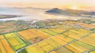 Eco-Healing, 순천만 스토리