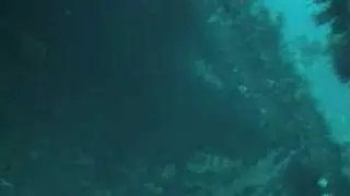 Wreck Dive on P&O Liner Moldavia