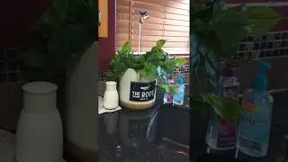 Magic Faucet Fountain for my son's business.