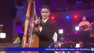 Pajarillo - Intérprete en el arpa de Edward Bogado