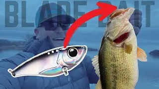 HOW TO Fish A BLADE BAIT For BIG Bass During The Winter!