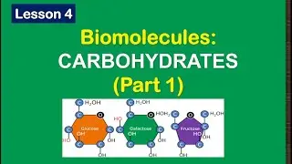 Lesson 4: Biomolecules-Carbohydrates (Part 1)