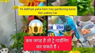 Ye dekhiye yaha ham kam jagah me tray gardening kaise ker saktey hai.