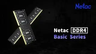 Netac DDR4 BASIC SERIES
