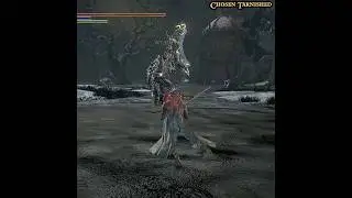 Dragonslayer Armour is back for a rematch #darksouls #darksouls3 #fromsoftware #gaming
