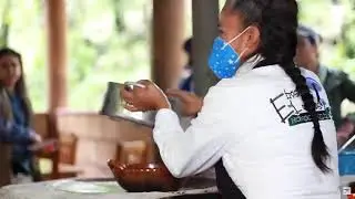 Recorrido de los hongos azules