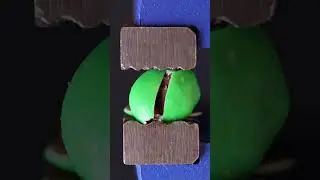 Crushing Chocolate Candy ASMR (Macro / Close-up) #macro #asmr #closeup