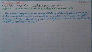 Problema 5. Conservaci&oacute;n de la cantidad de movimiento. Materia F&iacute;sica.