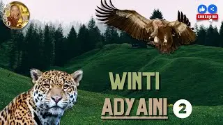 Zoned in on -WINTI - ADYAINI 🐆 (part 2 of 2 )
