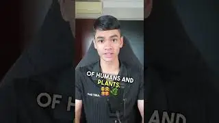 O vs  A Level BIO (Part 1)