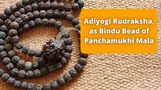 Adiyogi Rudraksha as Bindu Bead in Panchamukhi Mala (Correction) #adiyogi #rudrakshamala #diy
