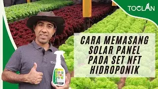 Cara Memasang Solar Panel di Set NFT Hydroponics Toclanasia