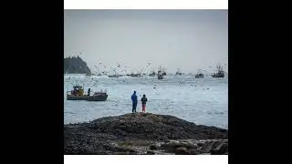Welcome to Denman Island!