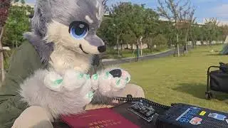 Operating HF Amateur Radio in Fursuit on an Autumn Afternoon #furry #hfradio  #hamradio #ssb 