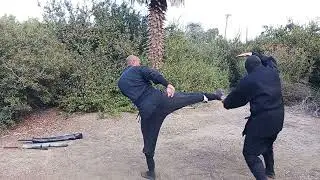 Shadow Hawk  koga ninjutsu training.  Falcon kamae. counter kick and strike.