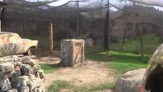 3 vs 1 GOTCHAMANIA SANTA FE