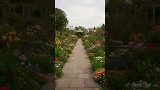 🌺 Walking Through My Colorful Flower Garden #GardenVibes #PeacefulMoments