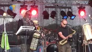 Palm Parkies Tilburg 2014: Dreadless