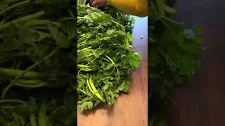 Thjesht e shijsh&euml;m!nga krahina juaj si i quajn! llapsana o repica?