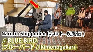 I played BLUE BIRD (Naruto) on piano in public