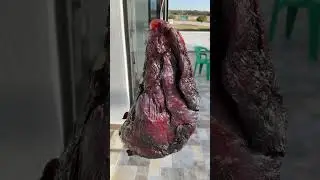 Pierna curada al sol 🌞 🍖