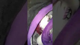 Ala perra que le gusta que la token y sigue😂😂😂🐶
